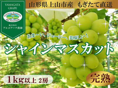 【樹上完熟】シャインマスカット　１ｋｇ（もぎたて直送）　0148-2614