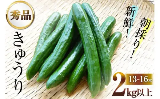 AG063【令和8年度出荷分】【秀品】新鮮 朝採りきゅうり 2kg以上 [ 長崎県 島原市 ]