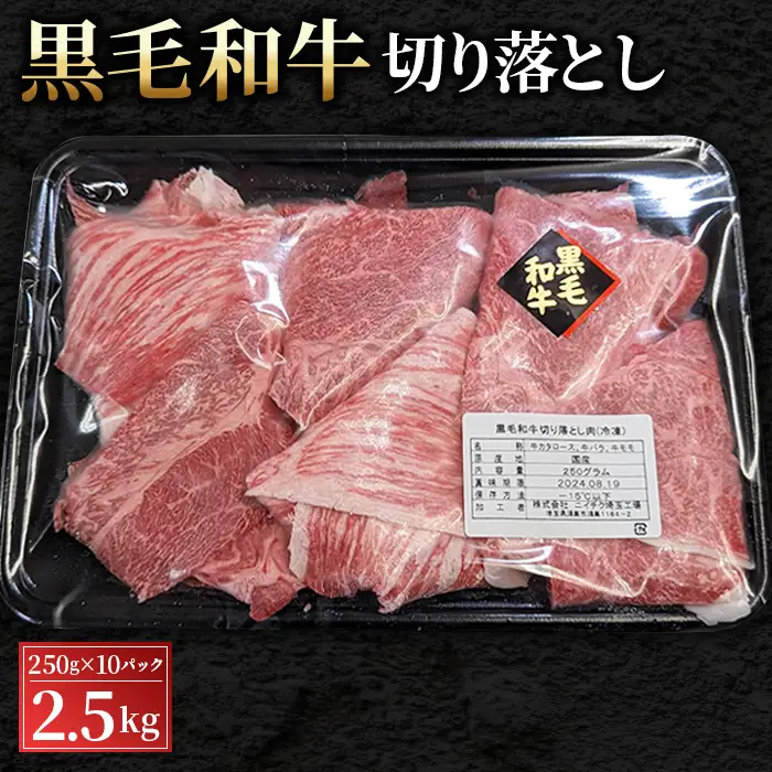 黒毛和牛切り落とし250g×10パック（合計2.5kg） No.451