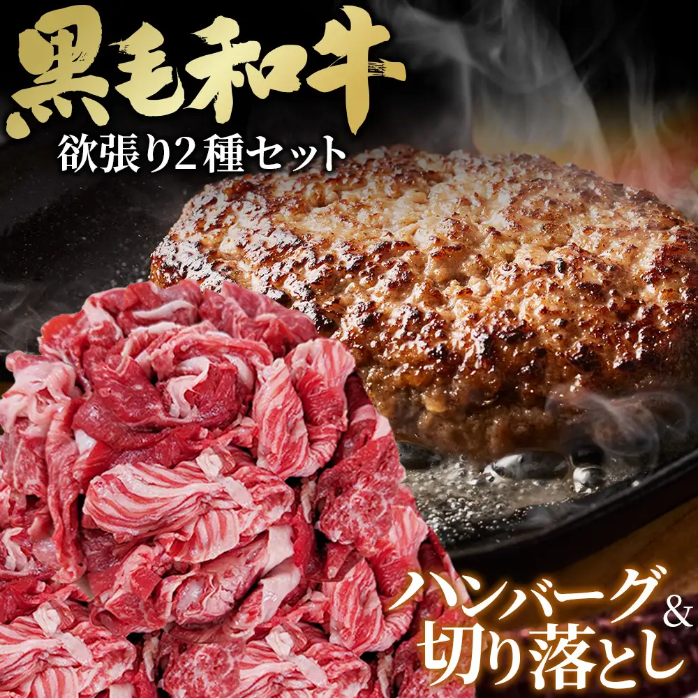 黒毛和牛欲張りセット 切り落とし 250g ハンバーグ 120g 8個 No.433
