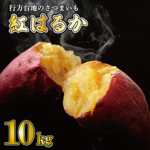 さつまいも（紅はるか）販売します。 さつまいも 紅霧島（紅はるか）【L】36本（1箱） | Japapo official