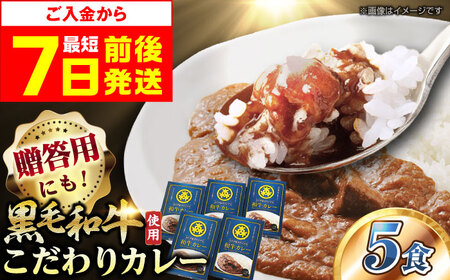 和牛カレー 5箱 [AOAI006] カレー