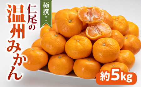 極撰!仁尾の温州みかん(約5kg)