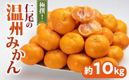 極撰!仁尾の温州みかん(約10kg)
