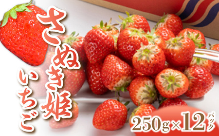 さぬき姫いちご (250g×12パック)