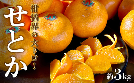 せとか (約3kg)