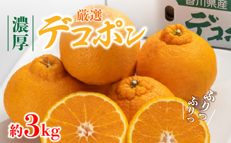 厳選デコポン (約3kg)