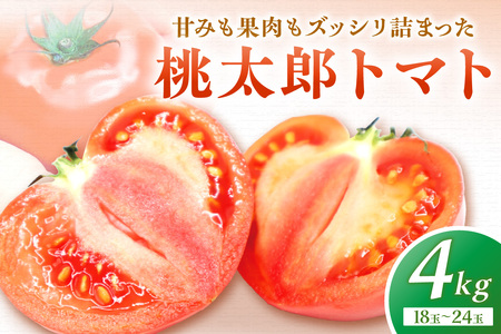 桃太郎トマト4kg（18玉～24玉）【ほたるの里】_HA0572