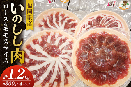 福岡県産いのしし肉ロース＆モモ スライス 1.2kg（300g×4パック）【 観光創造DMOむなかた】_HA1037