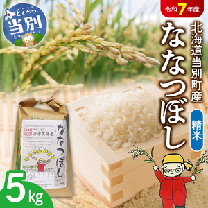 【令和7年産】精米ななつぼし5kg 北海道 当別町 お米 