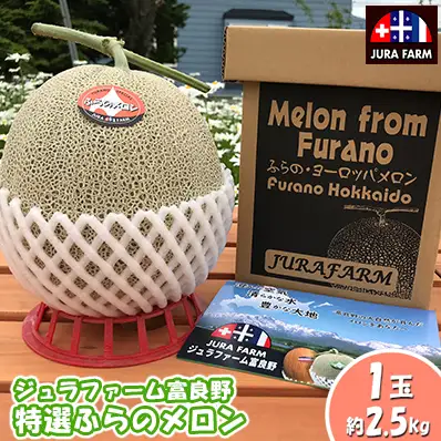 【2026年6月下旬～発送】特選 ふらの メロン 1玉 約2.5kg 北海道 富良野市 赤肉メロン (ジュラファーム富良野) メロン フルーツ 果物 新鮮 甘い 贈り物 ギフト 道産 ジューシー おやつ ふらの ブランド 夏 
