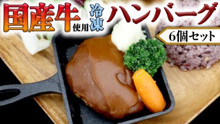 国産牛使用 こだわり 冷凍 ハンバーグ 6個 セット