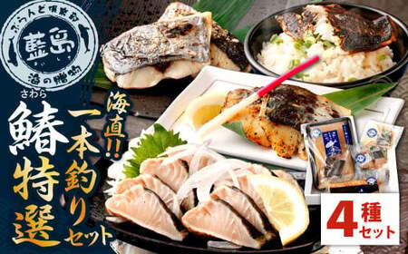 【藍島】海直！ 鰆 一本釣り 特選 セット