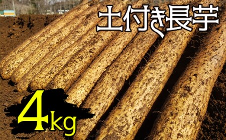 変色しない！ 土付き 長芋 4kg 【マル庄】 ／ 長いも 長イモ ながいも 山芋 やまいも ヤマイモ 芋 いも イモ 春野菜 秋野菜 生野菜 根菜 時短 時短食材 便利 手軽 国産 とろろ 山かけ おすすめ オススメ 人気 ４kg 4キロ ４キロ