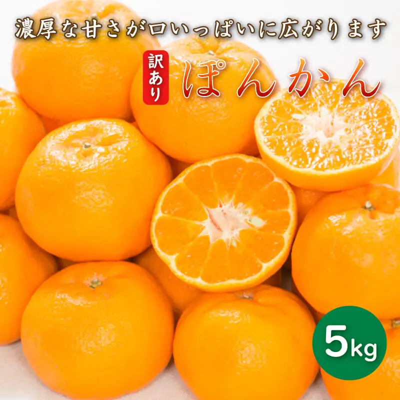 【先行予約】訳あり 減農薬 ポンカン 5kg 愛南フルーツ 【2027年1月中旬～発送開始】