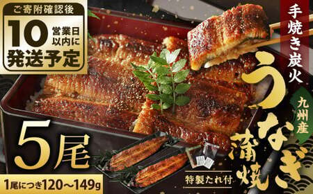 九州産 手焼き 炭火 うなぎ 蒲焼 5尾 計600g以上 (1尾あたり120～149g)