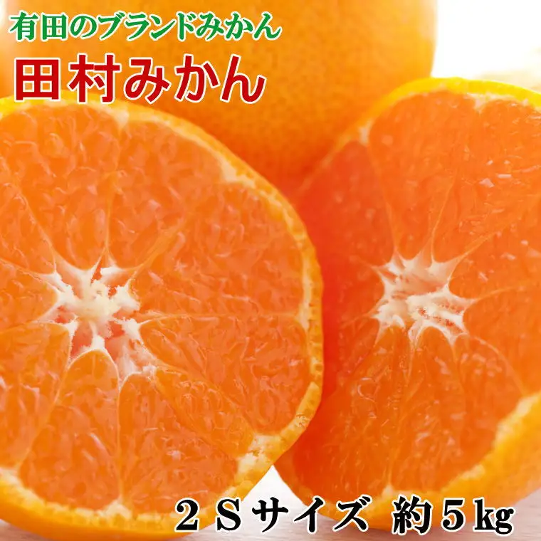 【ブランドみかん】田村みかん約5kg（2Sサイズ・秀品）　【2026年11月下旬～2026年12月下旬頃に順次発送】【tec881A】