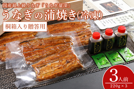 贈答用 うなぎ 3人前セット 桐箱入り FJ-004