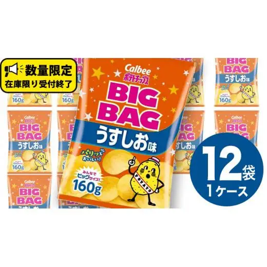 カルビー ポテトチップス BIGBAG 160g うすしお味 1ケース ( 12袋 )