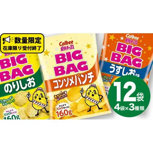 カルビー ポテトチップス BIGBAG 160g 3種 各4袋セット (計 12袋 ) うすしお ・ のりしお ・ コンソメパンチ