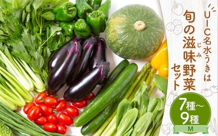 UIC 名水うきは 旬の滋味（じみ）野菜セットM