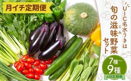 【月イチ定期便】UIC 名水うきは 旬の滋味（じみ）野菜セット (ひと月1箱×半年間=計6回)