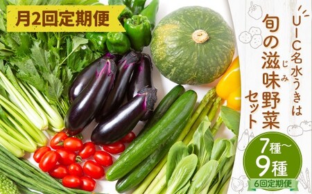 【月2回定期便】UIC 名水うきは 旬の滋味（じみ）野菜セット (ひと月2回×3か月=計6回)