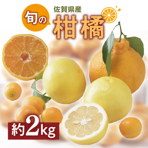 佐賀の旬の柑橘をお届け 佐賀産かんきつ2kg 147-B396