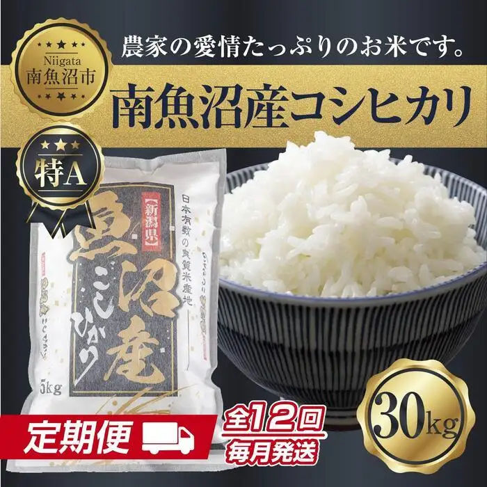 【定期便】 新潟県 南魚沼産 コシヒカリ お米30kg×計12回 精米済み 年間 毎月発送 こしひかり（お米の美味しい炊き方ガイド付き）【定期便 銘柄米 ブランド米 精米 こしひかり コシヒカリ 魚沼産 新潟米 産地直送 ごはん】