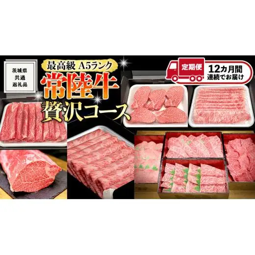 【 豪華 12回 定期便 】 最高級 A5ランク 常陸牛 贅沢コース (茨城県共通返礼品) 