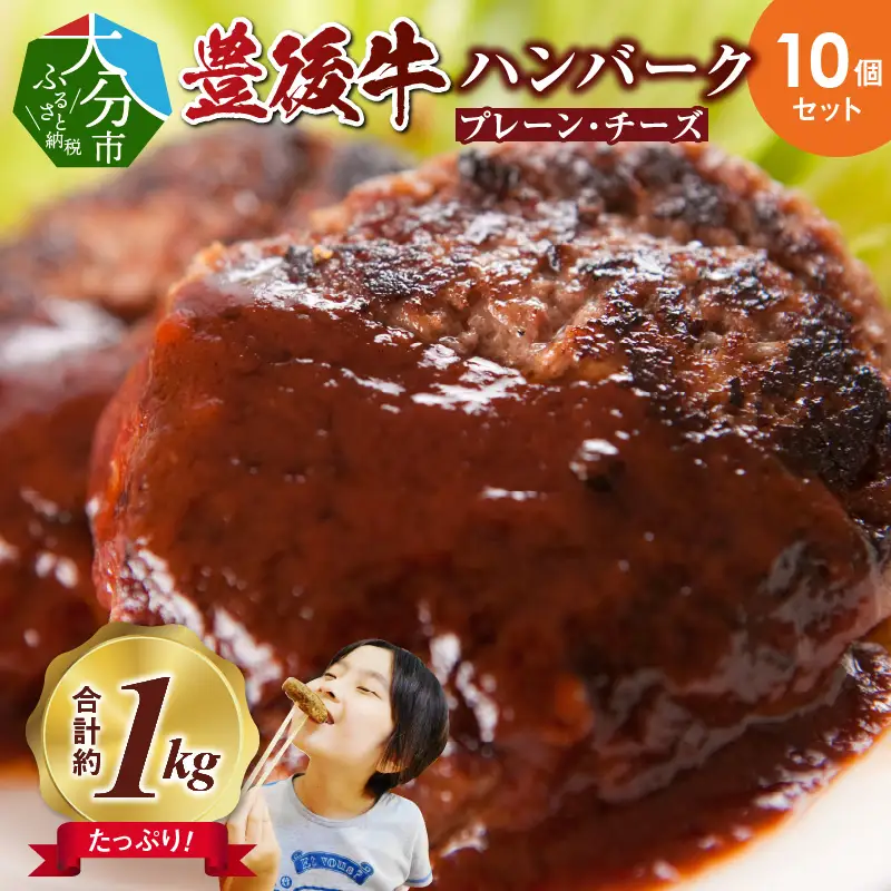 豊後牛ハンバーグ（プレーン・チーズ入り） 合計10個セット（合計約1kg） A05065