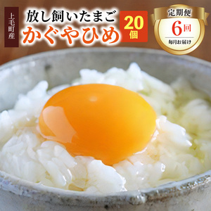 【定期便】放し飼いたまご『かぐやひめ』20個　6回（毎月）コース_04T-009