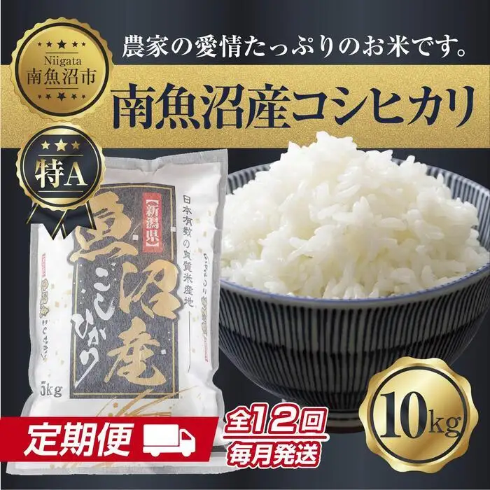 【定期便】 新潟県 南魚沼産 コシヒカリ お米 10kg×計12回 精米済み 年間 毎月発送 こしひかり（お米の美味しい炊き方ガイド付き）【定期便 銘柄米 ブランド米 精米 こしひかり コシヒカリ 魚沼産 新潟米 産地直送 ごはん】