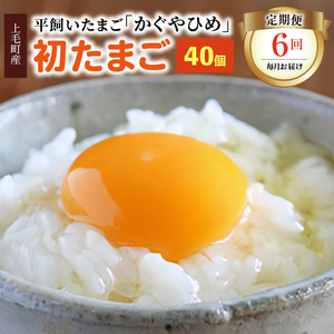 【定期便】かぐやひめ「初たまご」40個　6回（毎月）コース_04T-011