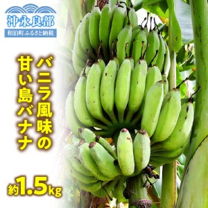 ■ 栽培期間中 農薬 ・ 除草剤 ・ 化学肥料不使用 ！ バニラ風味 の 甘い 島バナナ 1.5kg 【2026年4月上旬～2026年11月下旬お届け】 W043-006u 期間限定 果物 バナナ