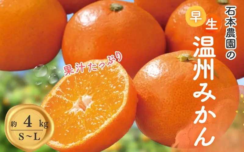  S-Lサイズいずれか 石本農園の早生温州みかん約4kg【mis001B】