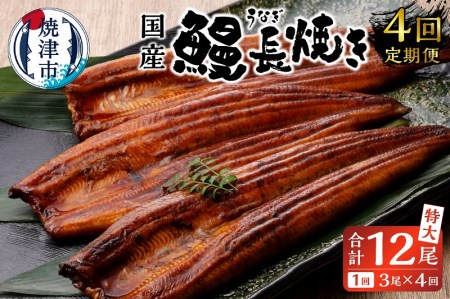 b100-058　【定期便4回】 鰻 長焼き