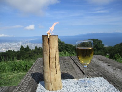 富士のソロキャン・トーチ（ファイアストリーム） アウトドア　キャンプ　雑貨 [sf001-042]