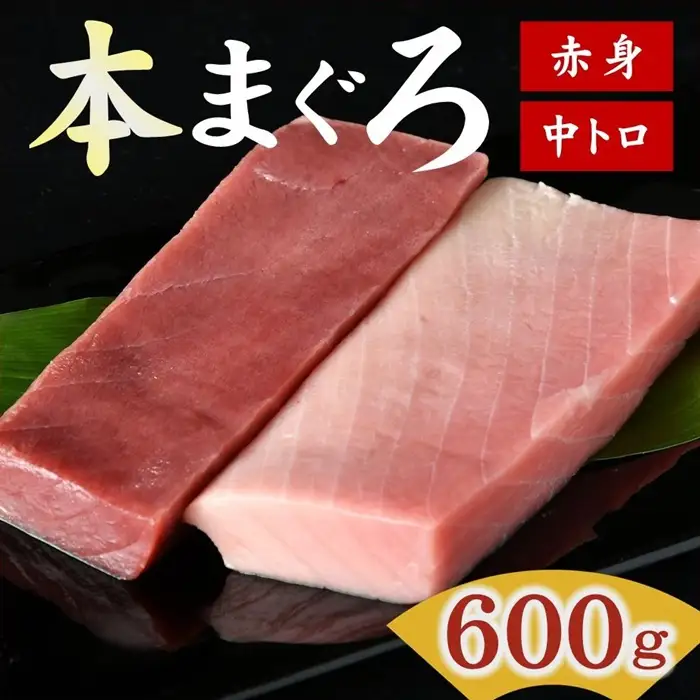 国産本まぐろ 中トロ 赤身 600g [ まぐろ ] / 2-134 | 三重県松阪市