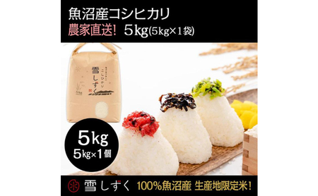 令和7年産！魚沼産コシヒカリ【農家直送!】 5kg×1袋 お米 米 コメ 