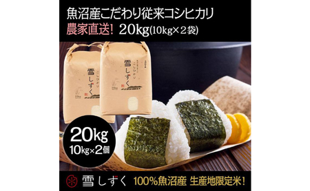 令和7年産！魚沼産こだわり従来コシヒカリ【農家直送!】10kg×2袋 お米 米 コメ 