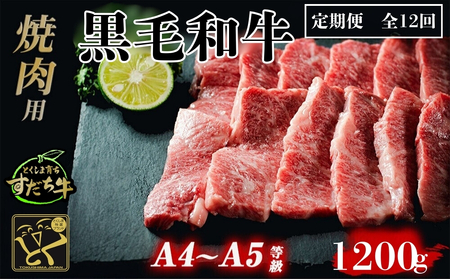 定期便 12回お届け すだち牛 黒毛和牛 （ 焼肉用 ） 1.2kg　鳴門　すだち牛　黒毛和牛　ブランド牛　高級　敬老の日　お歳暮　定期便　焼肉