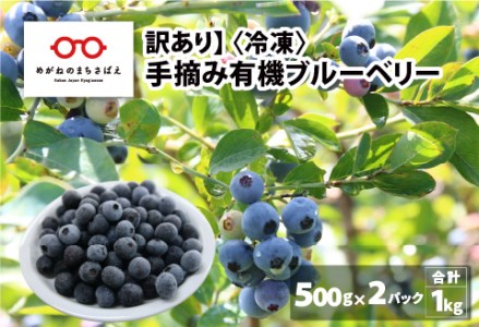 【先行予約】【7月中旬以降順次発送】【訳あり】令和8年産〈冷凍〉手摘み有機ブルーベリー1kg（500g × 2パック）