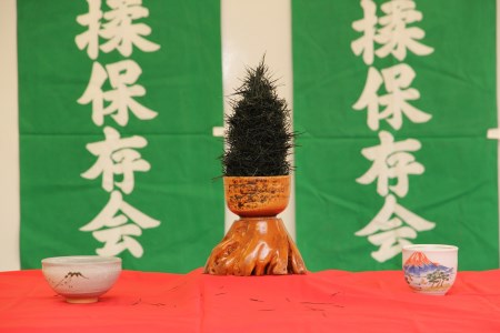 天下富士 [sf001-043]