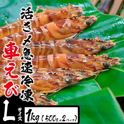 エビ 車海老 活き〆急速冷凍車えび【L】1kg