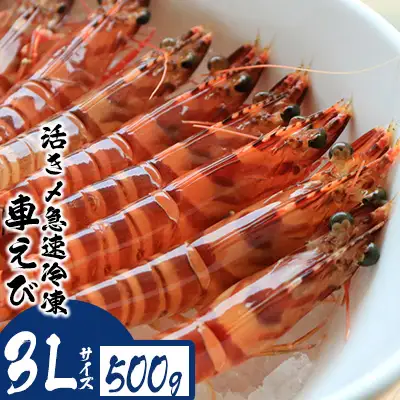 車海老 活き〆急速冷凍車えび【3L】500g