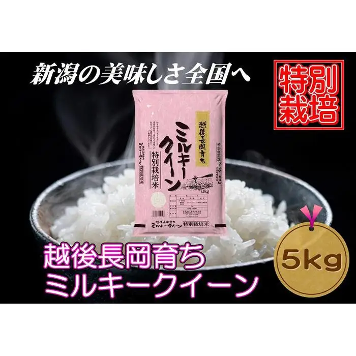 【特別栽培米】新潟県産ミルキークイーン　5kg（越後長岡育ち）