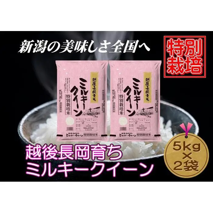 【特別栽培米】新潟県産ミルキークイーン　5kg×2袋（越後長岡育ち）