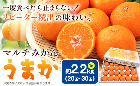 みかん マルチみかん「うまか」1箱 (約2.2kg)