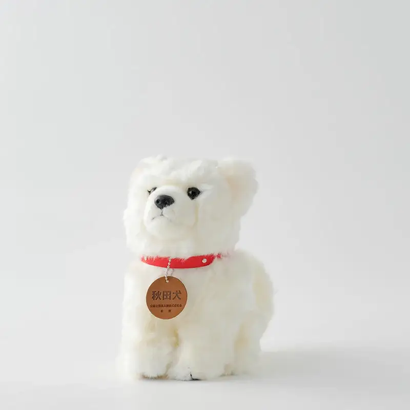 65P7304 秋田犬白毛(鼻黒)ぬいぐるみ　座りＭサイズ